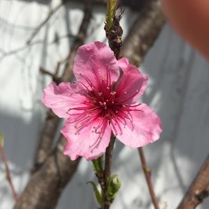 Meet your Posher, Eloisa